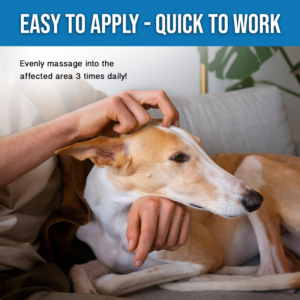 Hemp Dog Health Remedy with eucalyptus and arnica oils aroma evokes calming, natural relief