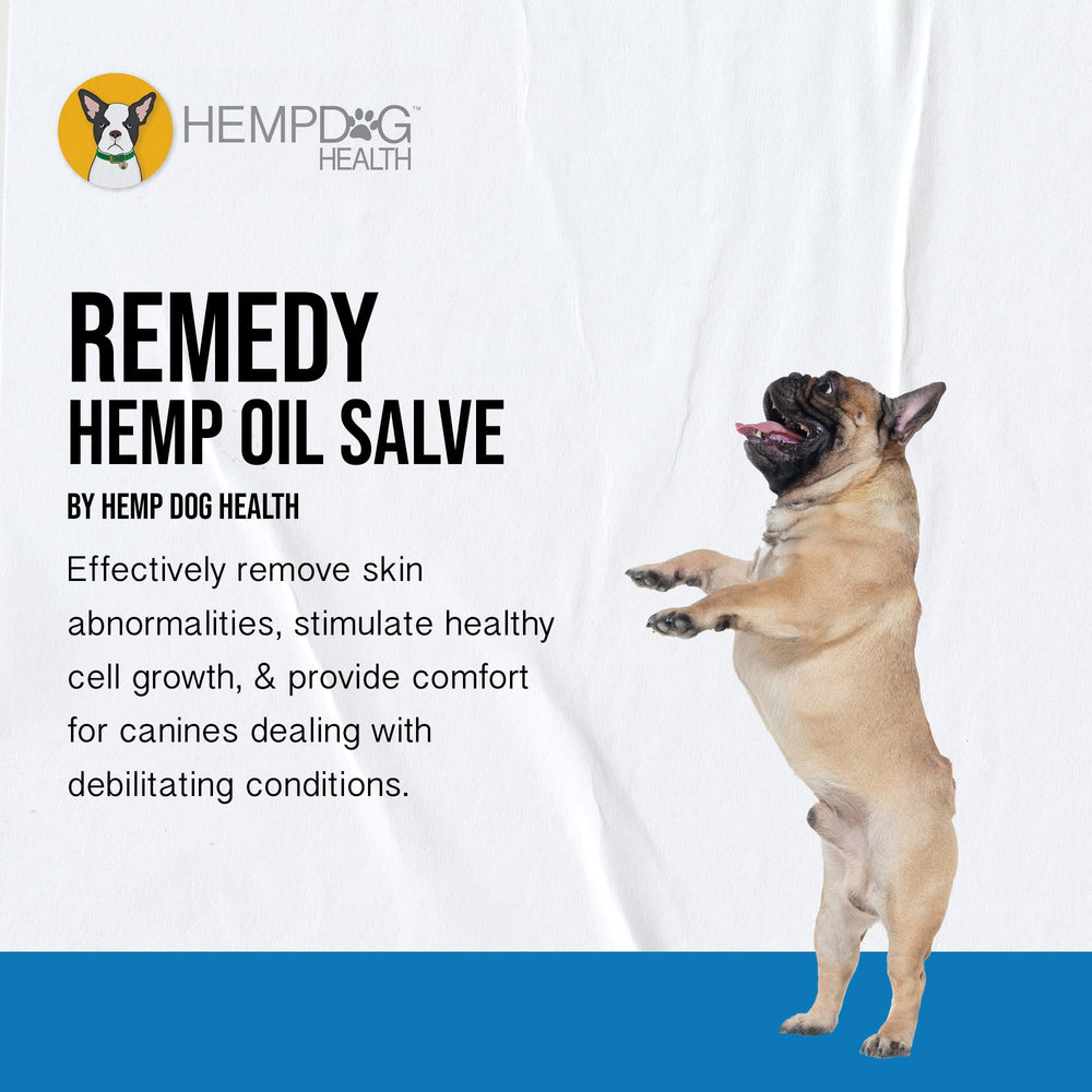 Hemp Dog Health Remedy balm texture close-up highlighting soothing, ready-to-use topical relief
