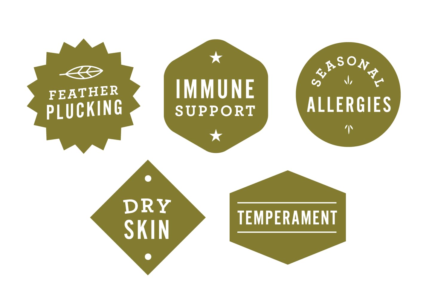 Hemp Well Bird Oil in an immune-support wellness setup
