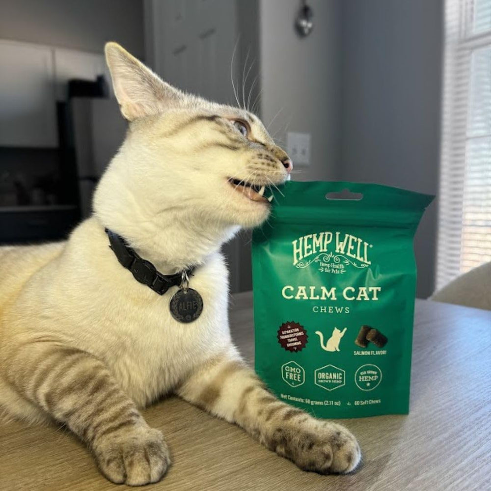 Hemp Well Calm Cat Soft Chews 60-count jar for ongoing use.