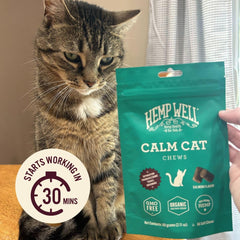 Hemp Well Calm Cat Soft Chews packaging box highlights organic ingredients.