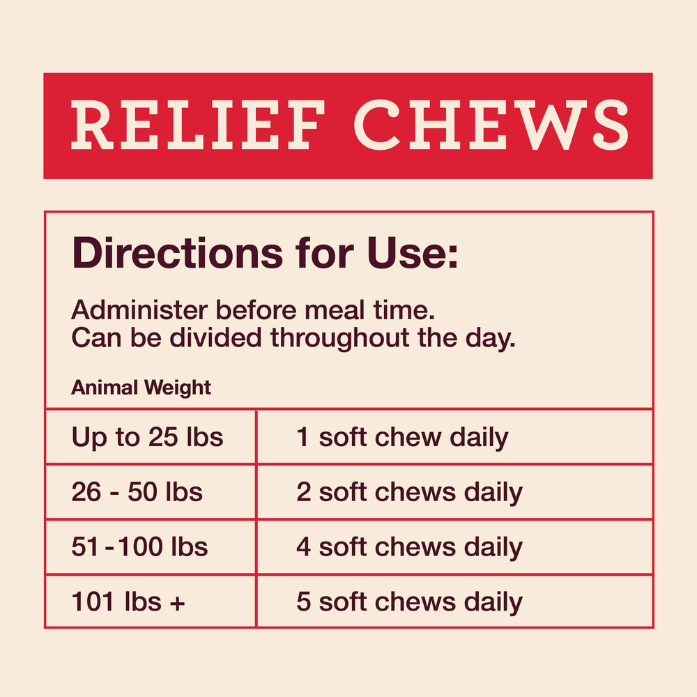 Hemp Well Relief Dog Soft Chews dog-eating demonstrates daily joint care and calming potential
