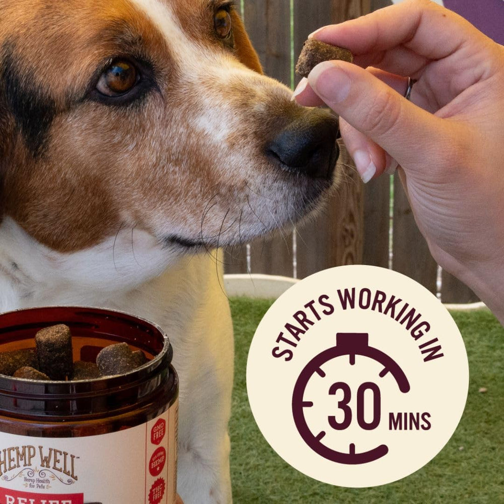 Hemp Well Relief Dog Soft Chews organic-label closeup emphasizes GMO-free, sustainable ingredients