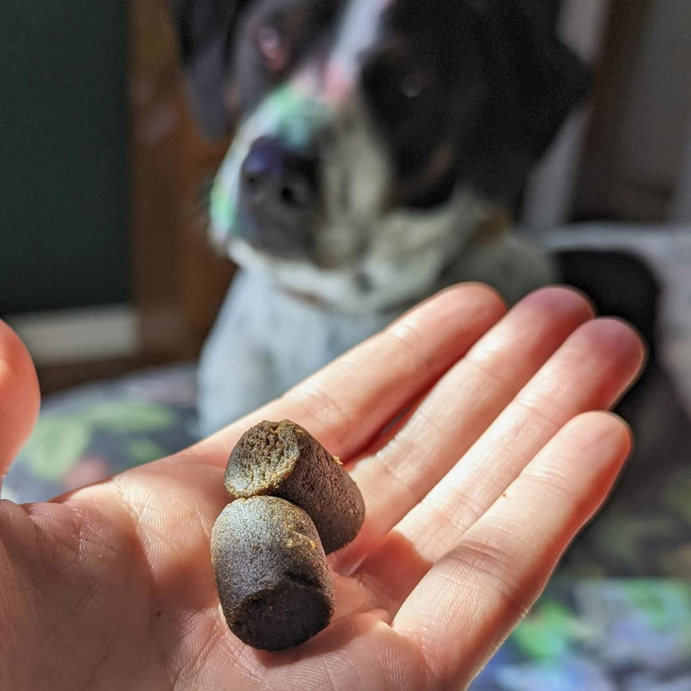 Hemp Well Relief Dog Soft Chews usa-made badge photo highlights US-grown hemp benefits