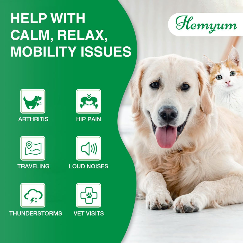 Hemyum Hemp Oil being added to pet food for simple administration.