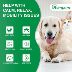 Hemyum Hemp Oil being added to pet food for simple administration.