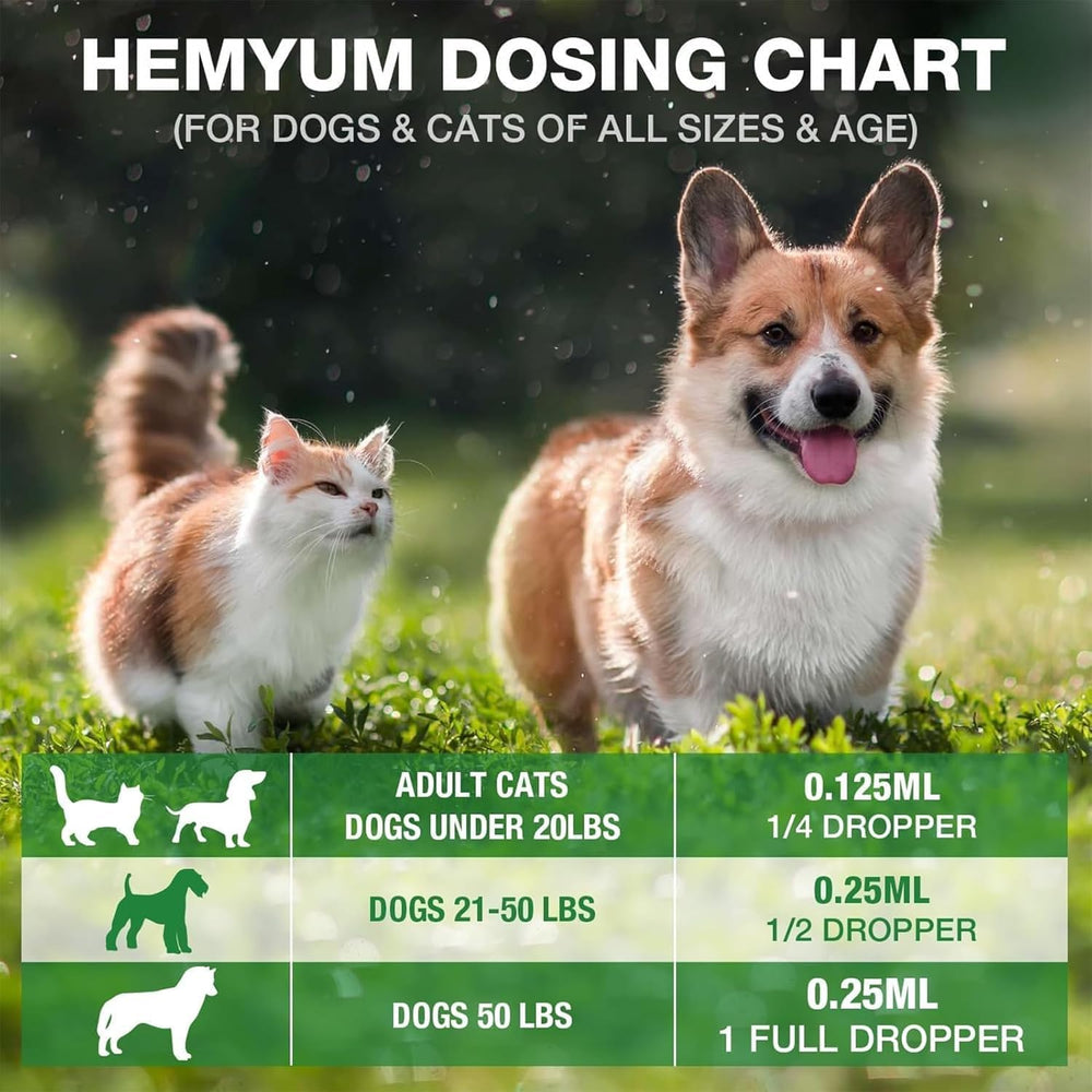 Hemyum Hemp Oil supports joint comfort and mobility in older pets.