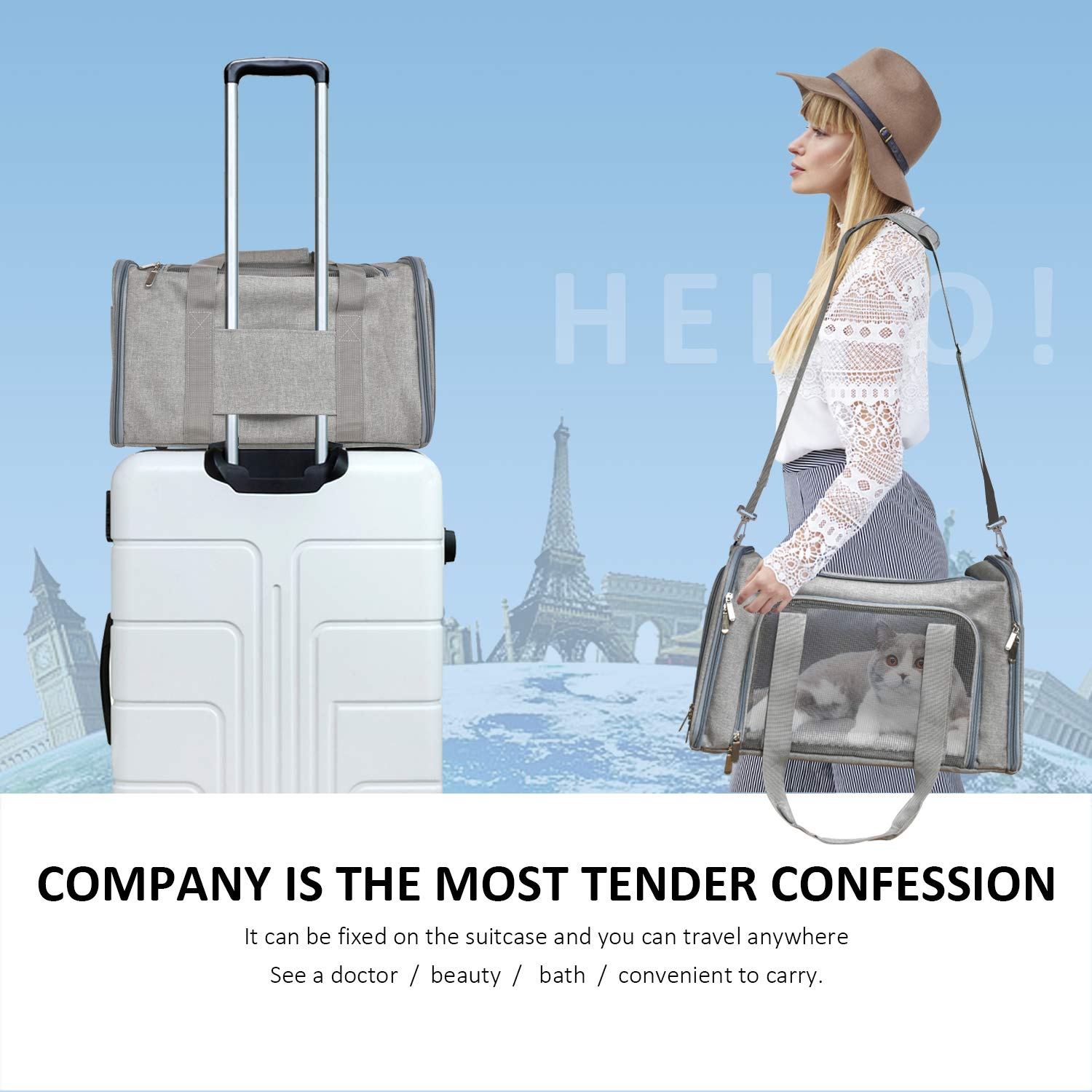 Henkelion cat carrier durable polyester fabric for daily use