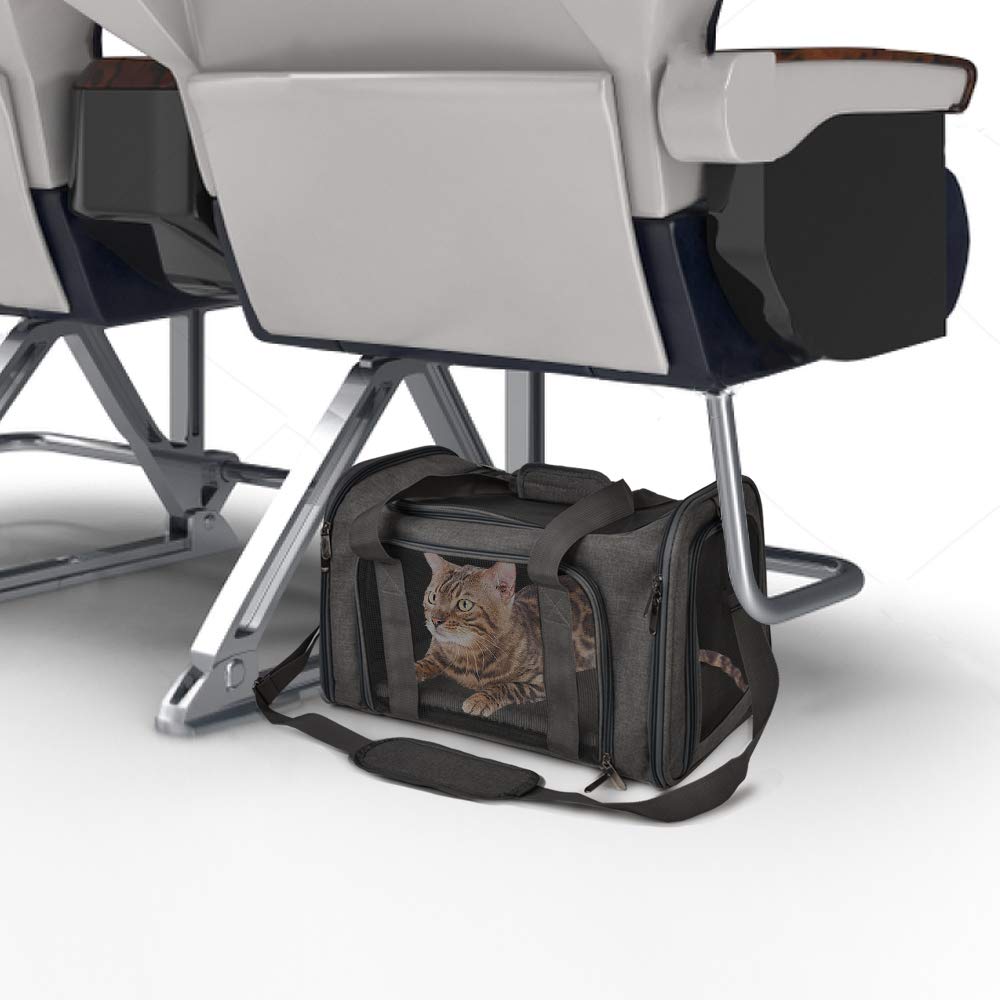 Henkelion collapsible carrier folds flat for compact storage on the go.