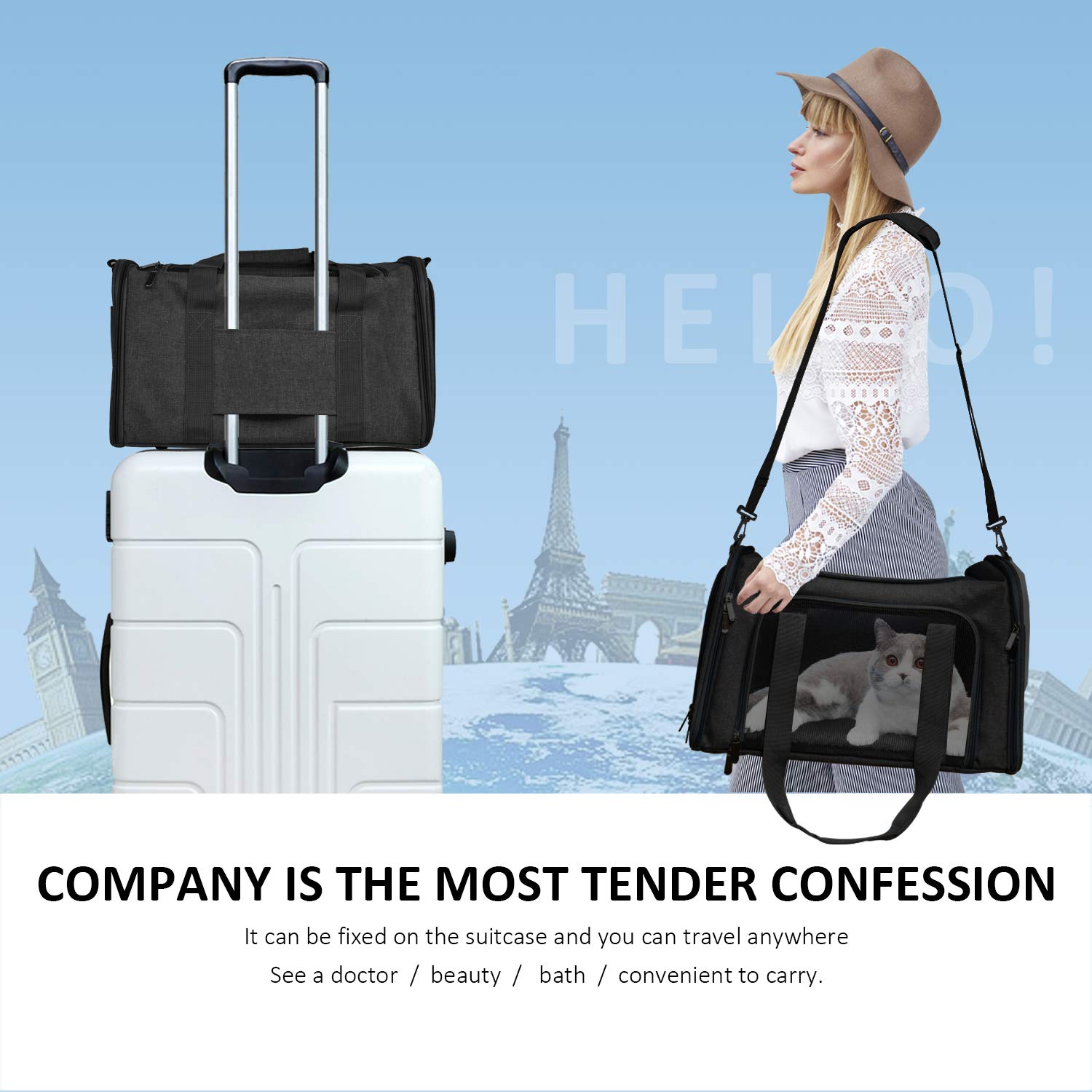 Henkelion interior sized for small to medium pets up to 15 lbs.