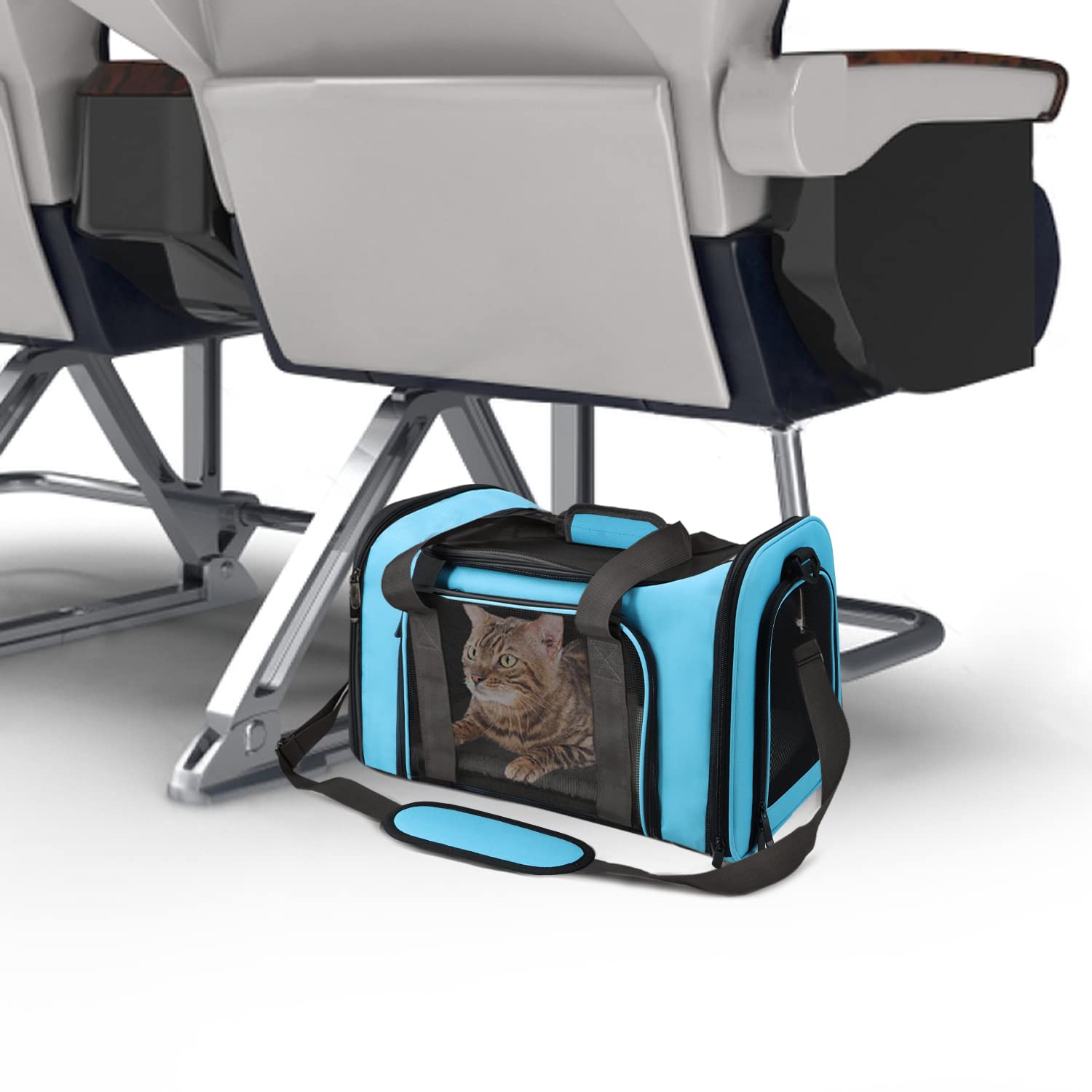Henkelion pet carrier collapsible design folds flat for simple storage at home.