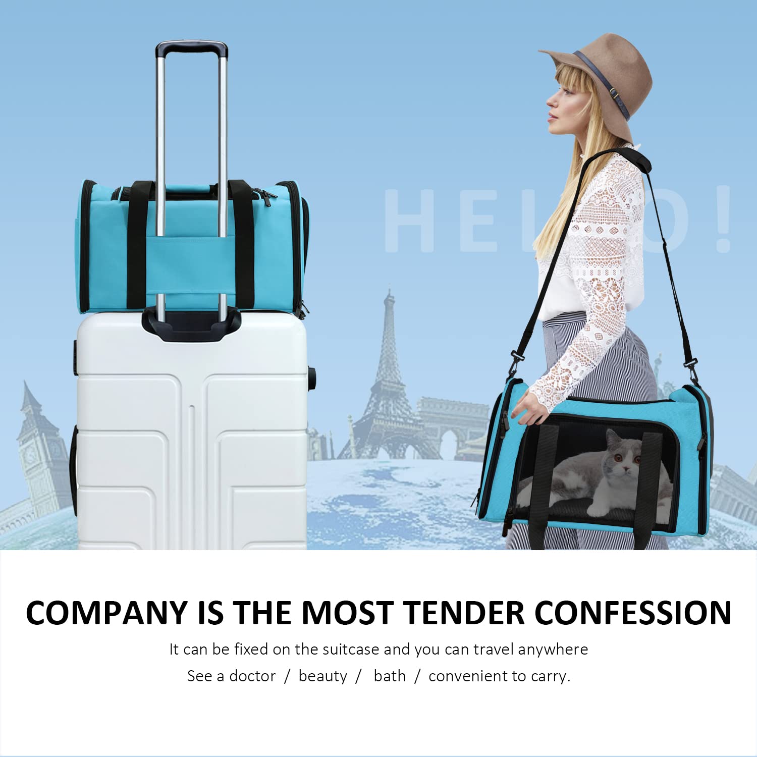 Henkelion pet carrier durable polyester construction supports active travel with pets.