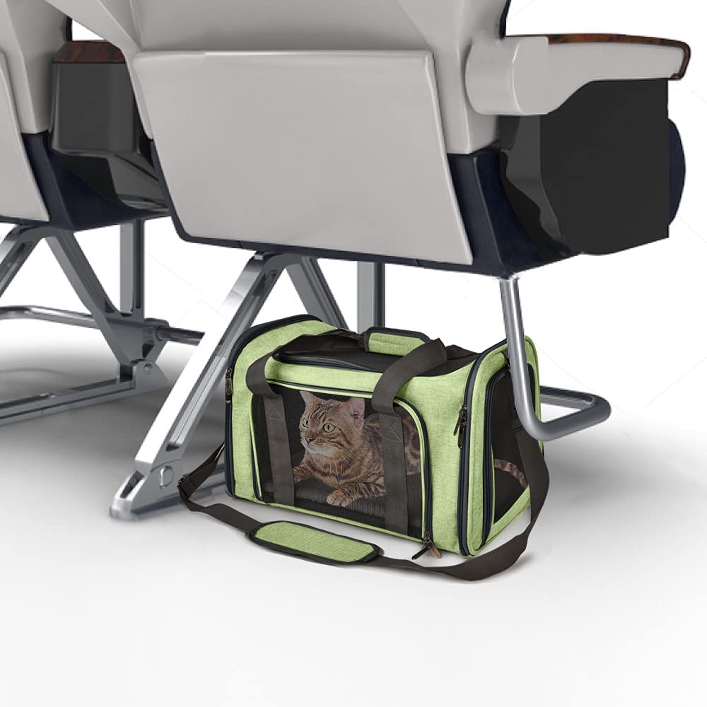 Henkelion pet carrier mesh-sides green provides clear pet visibility and airflow.