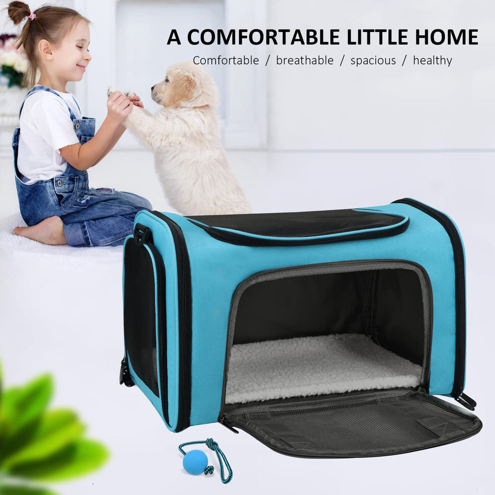 Henkelion pet carrier sized for pets up to 15 pounds and 15x9x9 inches.