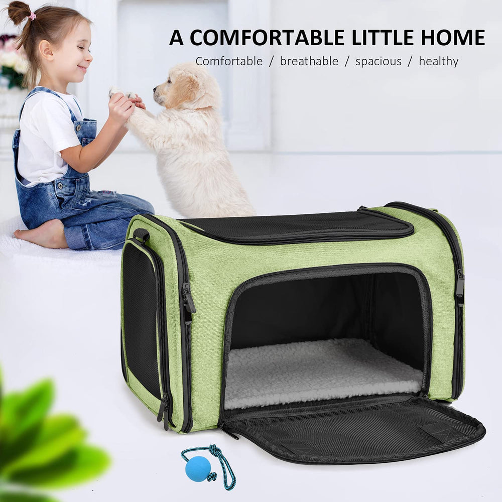 Henkelion pet carrier size-guide green helps pick the right fit for small-to-medium pets.