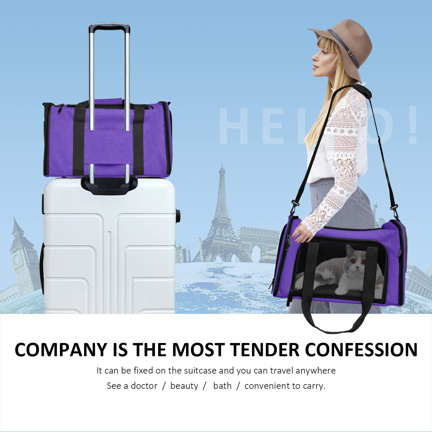 Henkelion pet carrier two-handles-dual-seatbelt design adds secure transport