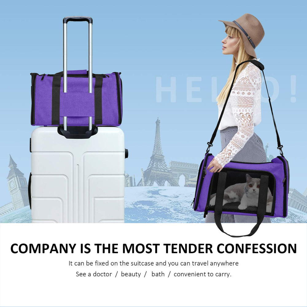 Henkelion pet carrier two-handles-dual-seatbelt design adds secure transport