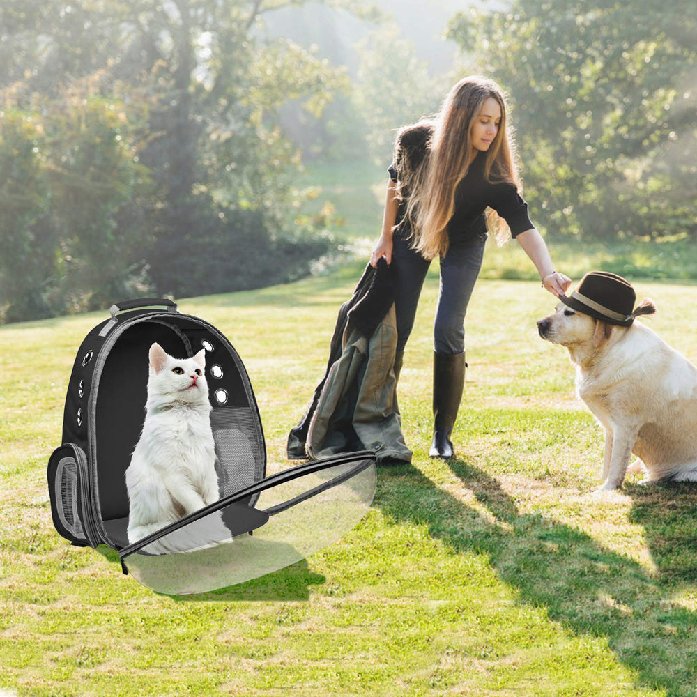 Henkelion travel outdoors image highlights pet carrier ideal for hiking, camping, and trips.