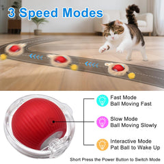 Henyopet fast-rolling ball play mat creates unpredictable motion.