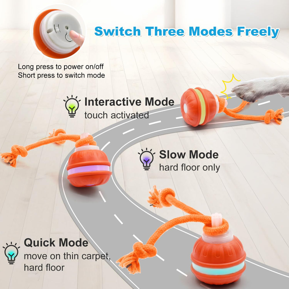 Henyopet interactive ball in action showcases rolling play and paw engagement