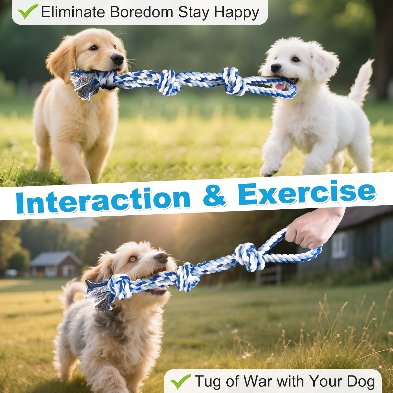 Henyopet interactive ball USB-rechargeable for uninterrupted play and convenience