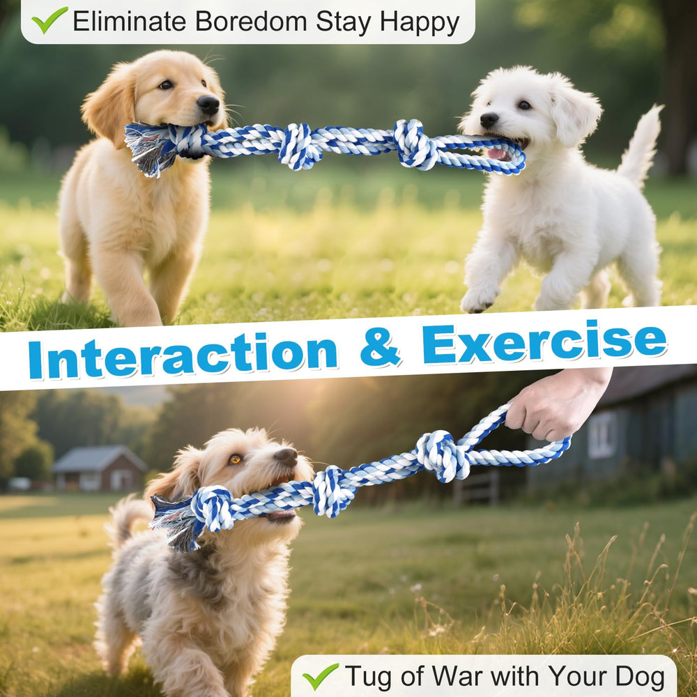 Henyopet interactive ball USB-rechargeable for uninterrupted play and convenience