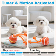 Henyopet interactive ball with rope demonstrates tug-of-war play for bonding and exercise