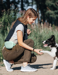 heouvo training clicker included for quick obedience cues