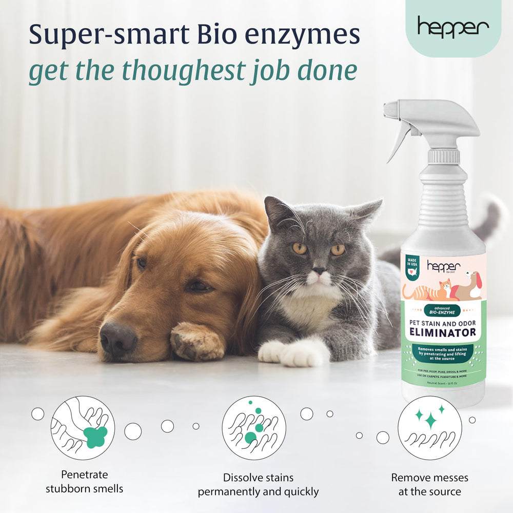 Hepper Advanced Bio-Enzyme Spray mist in action dissolving pet mess at the source