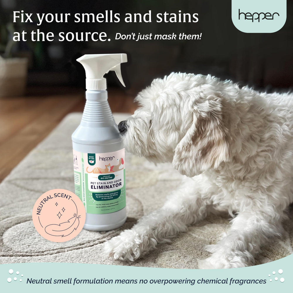 Hepper Advanced Bio-Enzyme Spray fights pet messes on floors and furnishings
