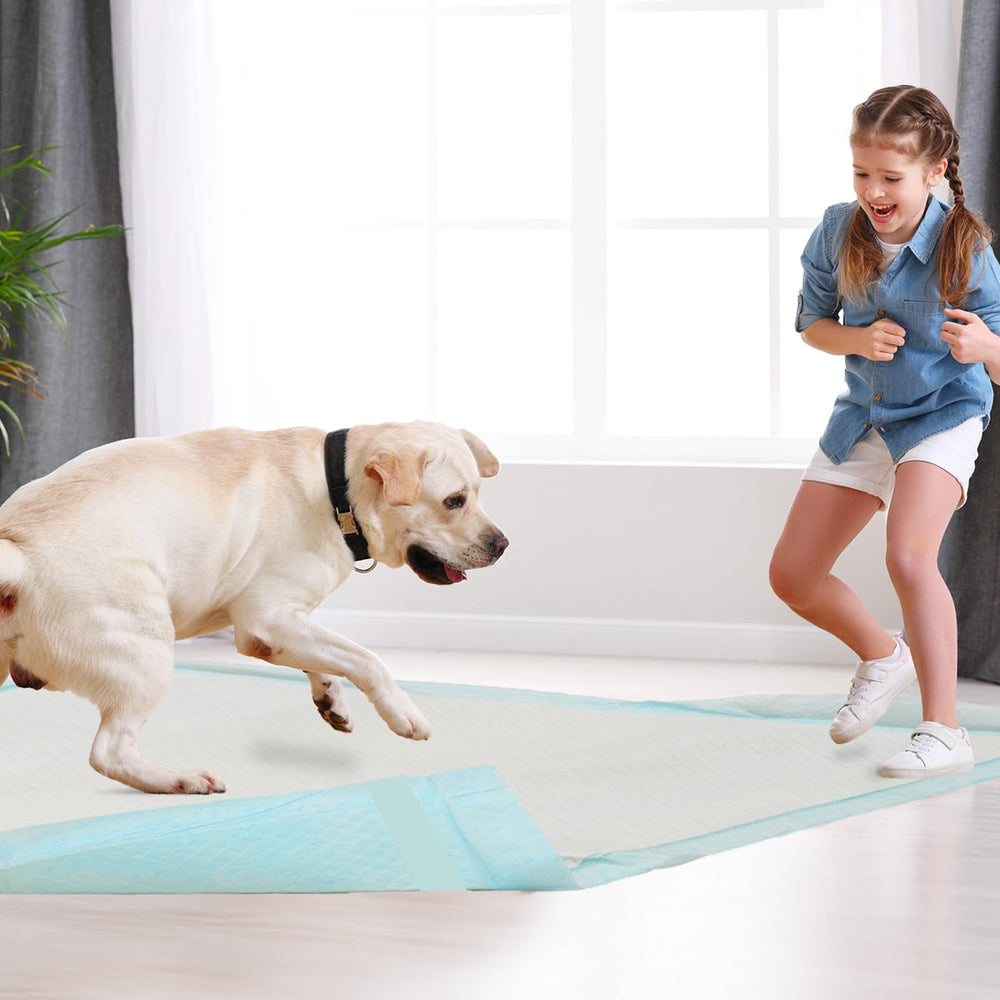 HEPPYPLUS travel-friendly-pads illustrates convenient disposable pads for on-the-go use.