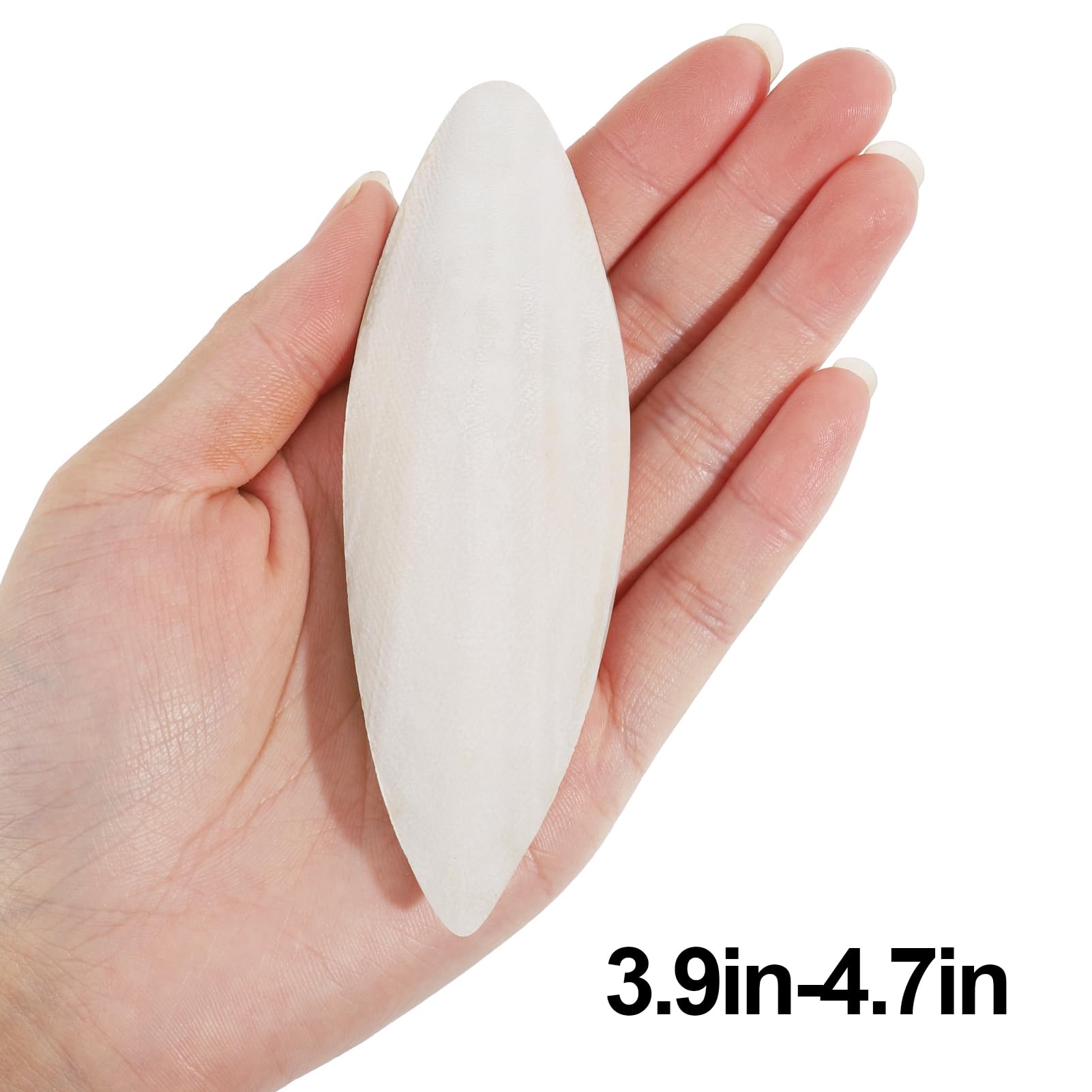 HEQU cuttlebone packaging contents show six natural bones ready to use.