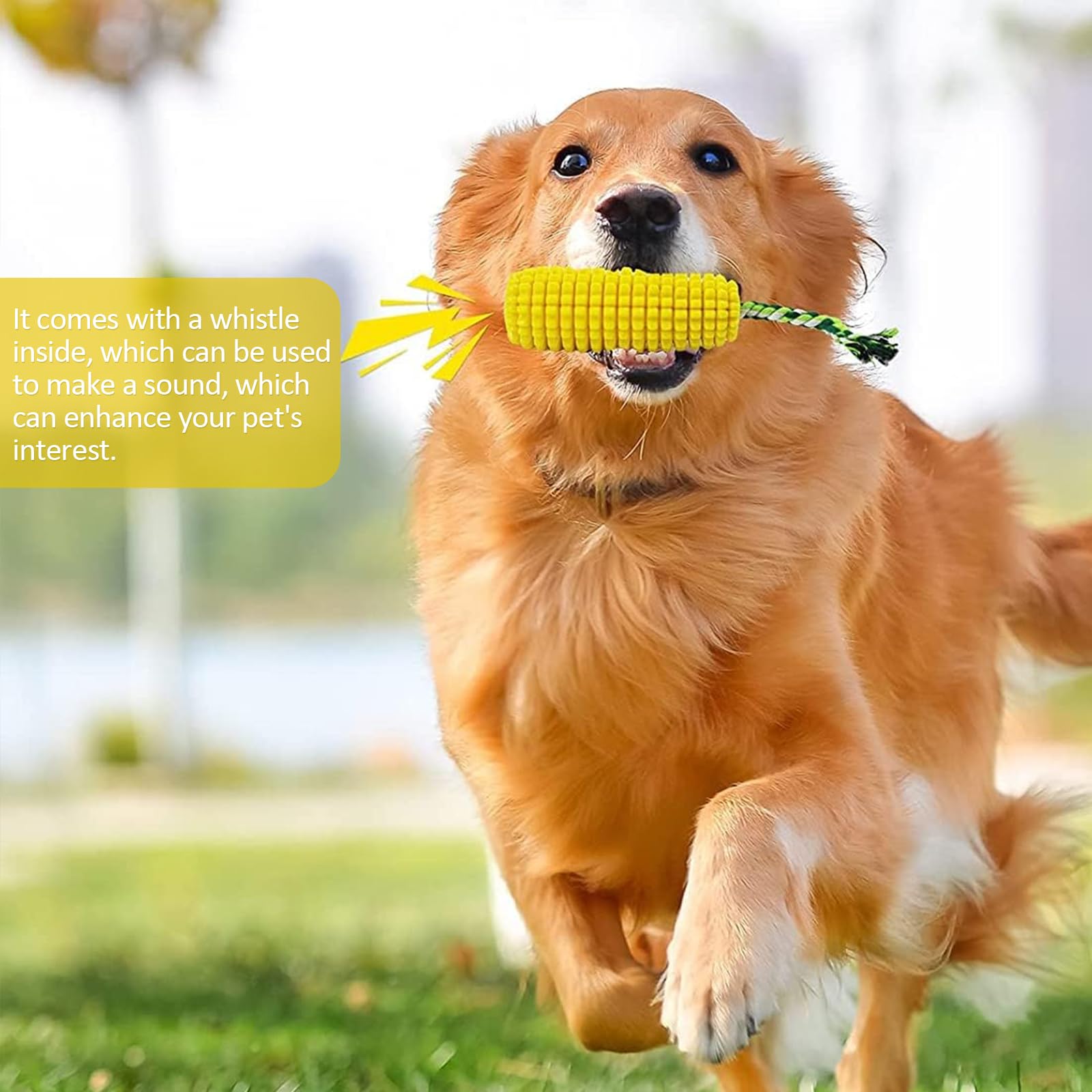 heqxwl dog chew corn toy suitable for indoor and outdoor play