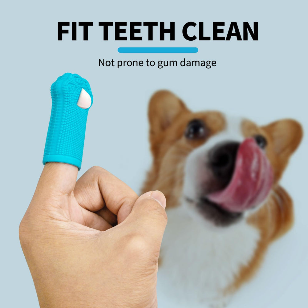 Hera Harmony washable reusable design for daily pet dental care