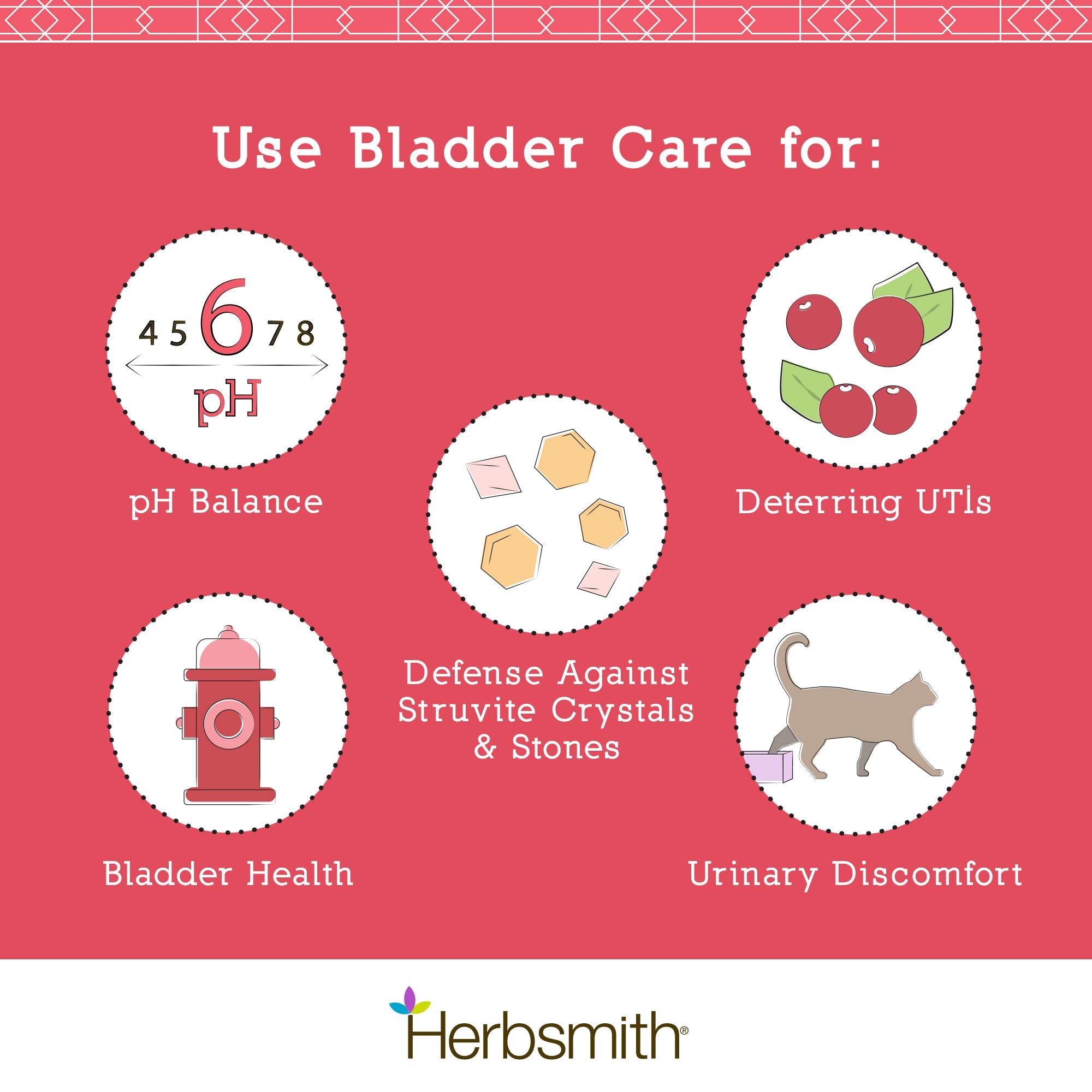 Herbsmith Bladder Care cat dosing scene for bladder support.