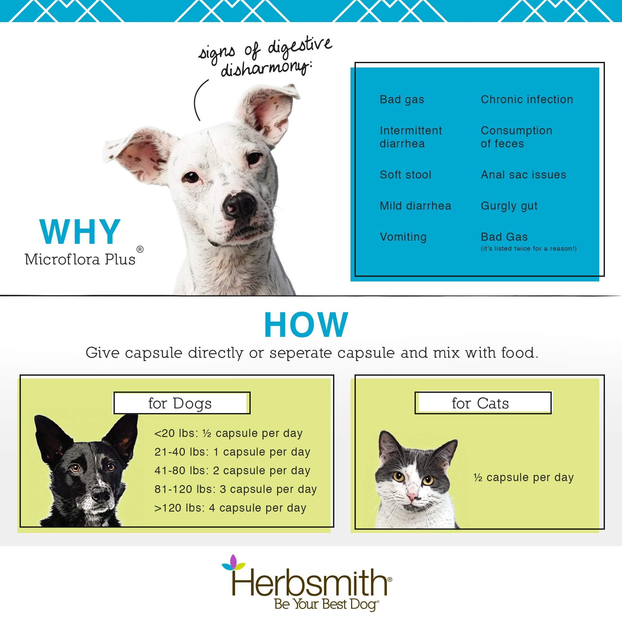 Herbsmith Microflora Plus added to broth for picky eaters.