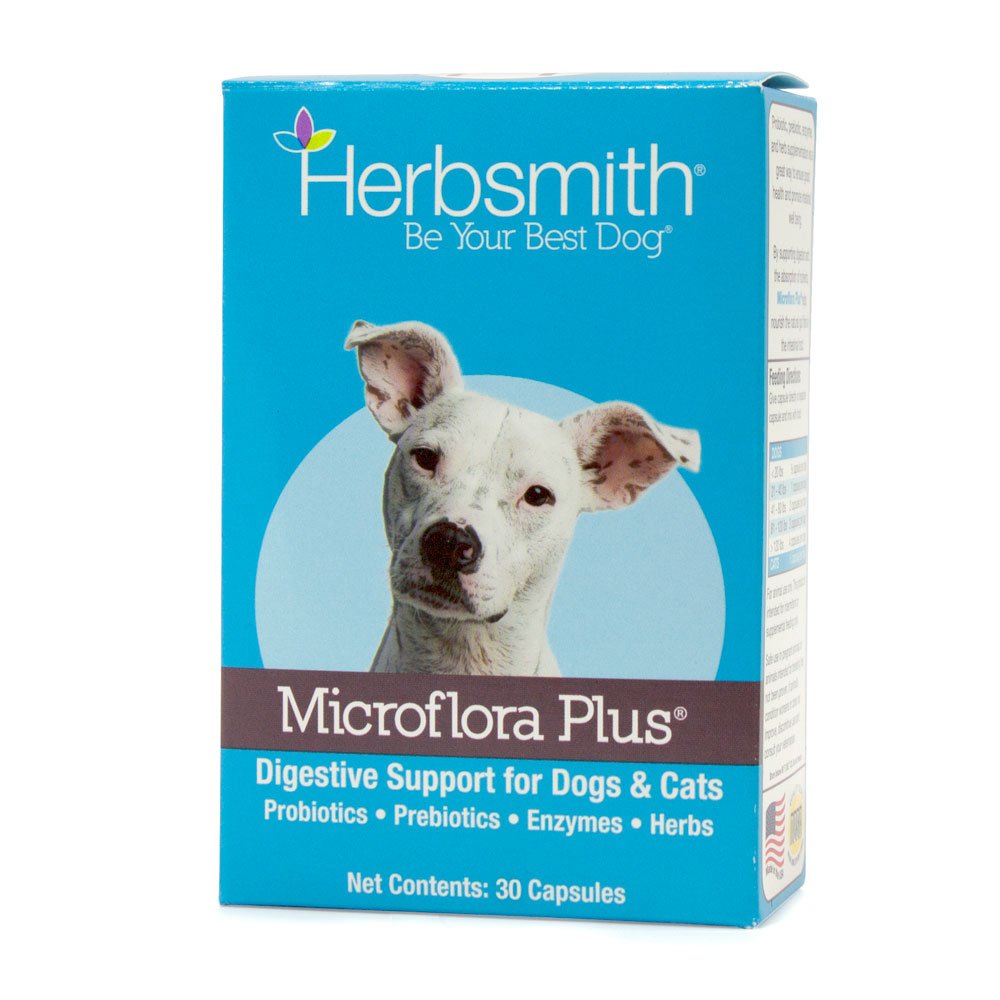 Herbsmith Microflora Plus dog capsules ready to serve for daily gut support