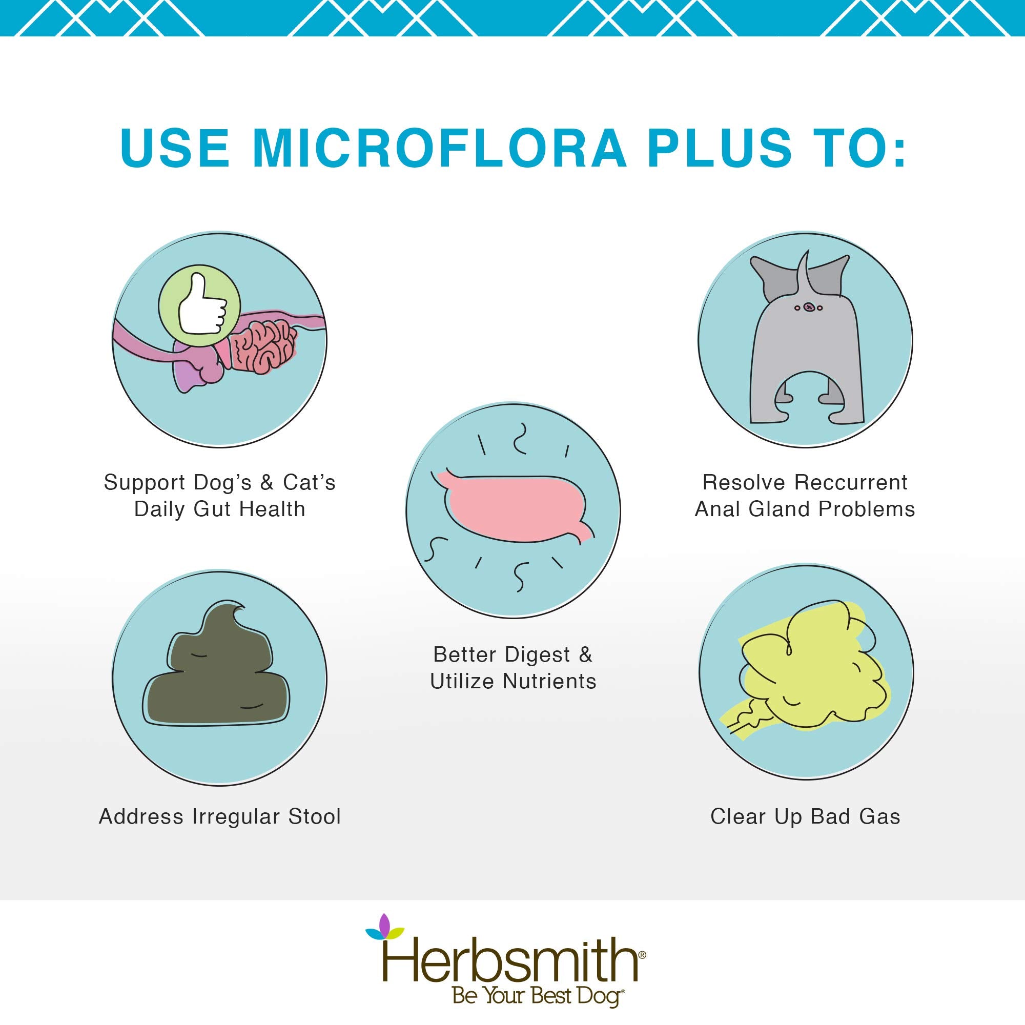Herbsmith Microflora Plus dog-eating-food image demonstrates easy administration with meals.