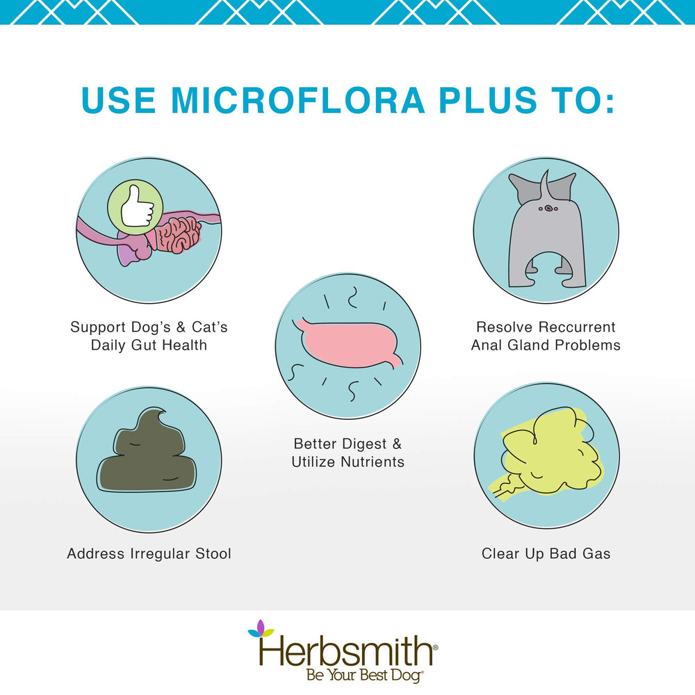 Herbsmith Microflora Plus being mixed into dog food for easy dosing.