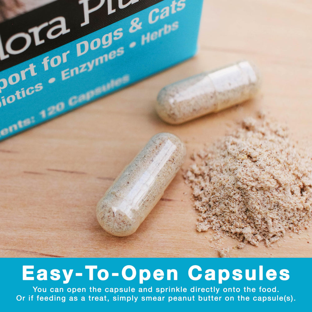 Herbsmith Microflora Plus post-diet-change-dish image supports gut comfort.