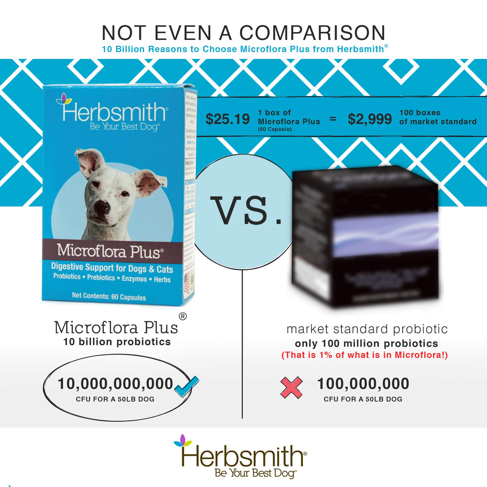Herbsmith Microflora Plus probiotics, enzymes, and prebiotics for gut health visualization.