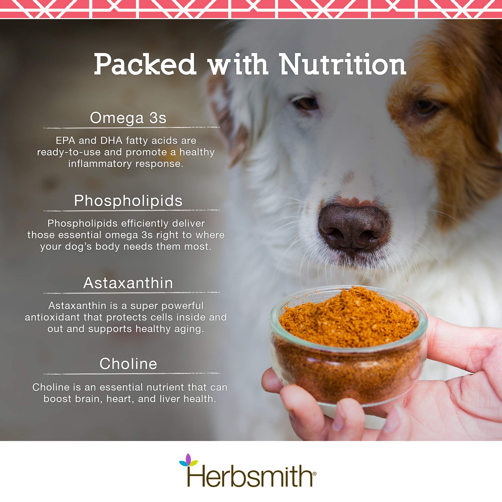 Herbsmith Pure Krill astaxanthin boost emphasizes antioxidant support