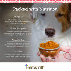 Herbsmith Pure Krill astaxanthin boost emphasizes antioxidant support