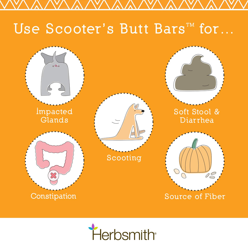 Scooters Butt Bars pumpkin-fiber bars highlighting natural fiber benefits for dogs.