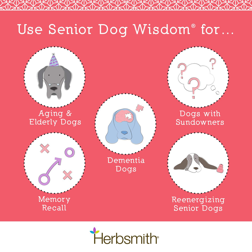 Herbsmith Senior Dog Wisdom chews close-up highlighting texture for easy feeding