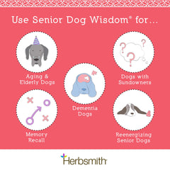 Herbsmith Senior Dog Wisdom chews close-up highlighting texture for easy feeding
