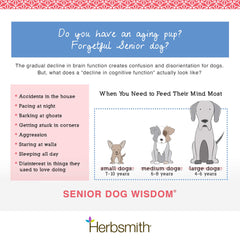 Herbsmith Senior Dog Wisdom dog sniffing treats during snack time