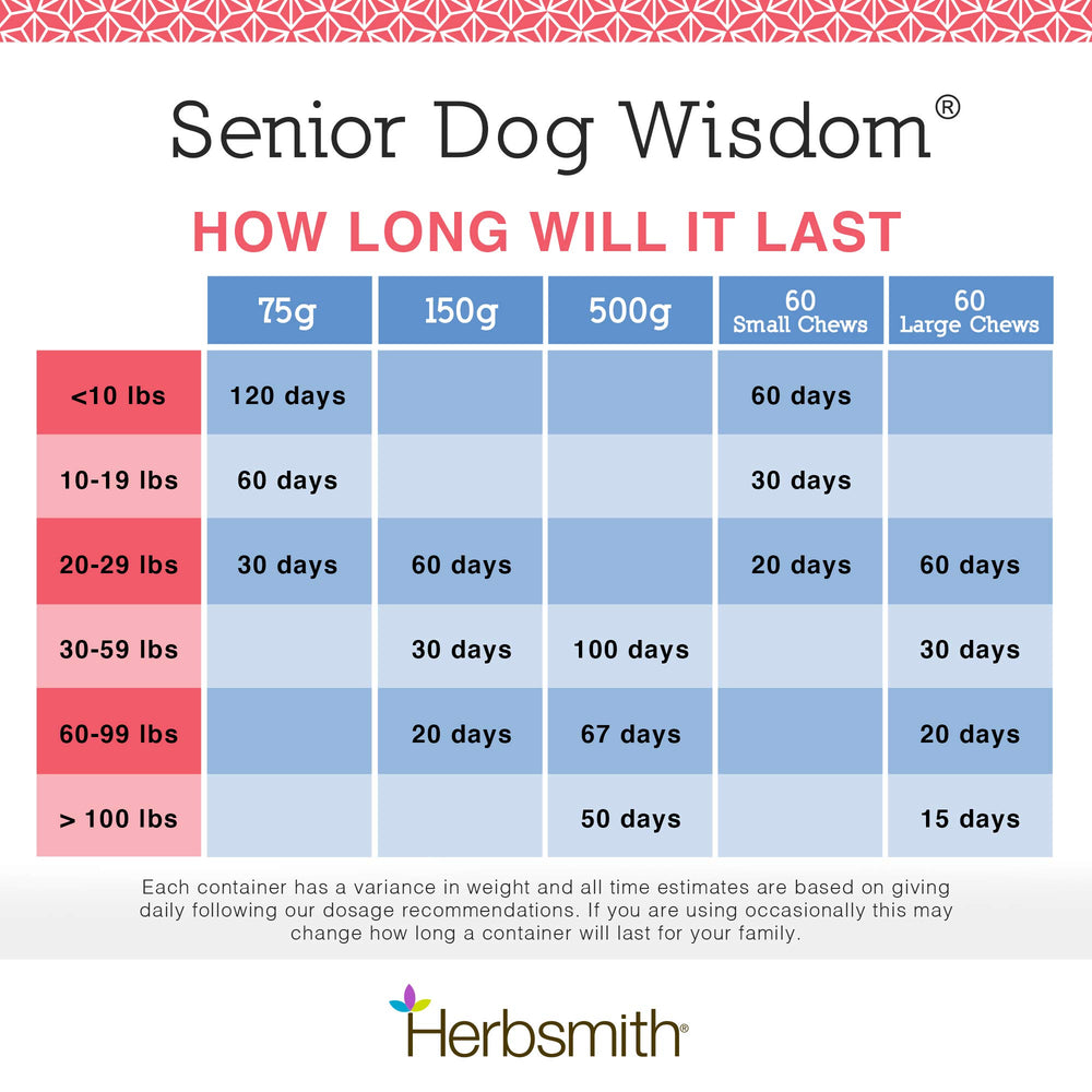 Herbsmith Senior Dog Wisdom dog walking outdoors after supplementation