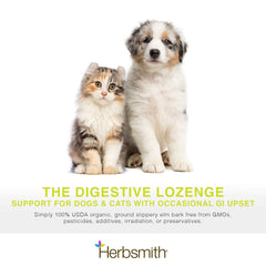 Herbsmith Slippery Elm dog-eating-spoon image shows easy mix-in powder for sensitive tummies.