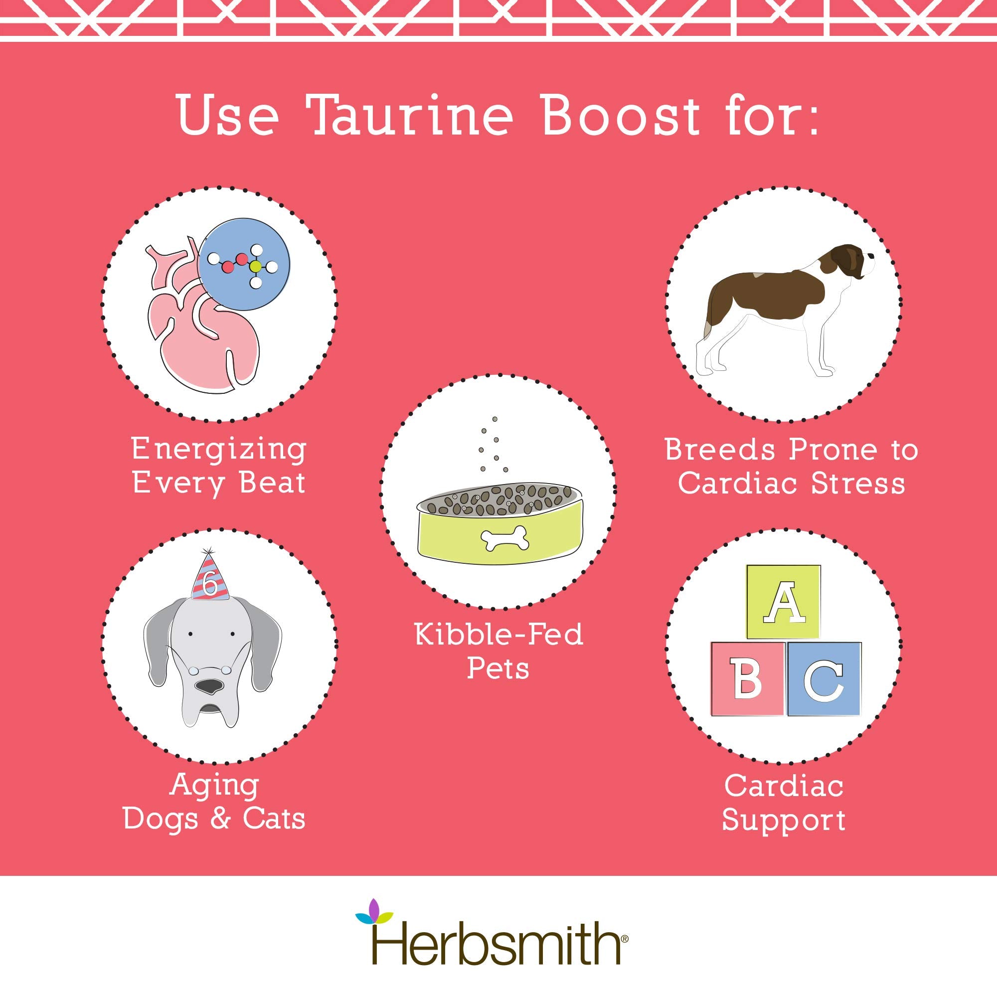 Herbsmith Taurine Boost dog meal scene implies convenient daily addition